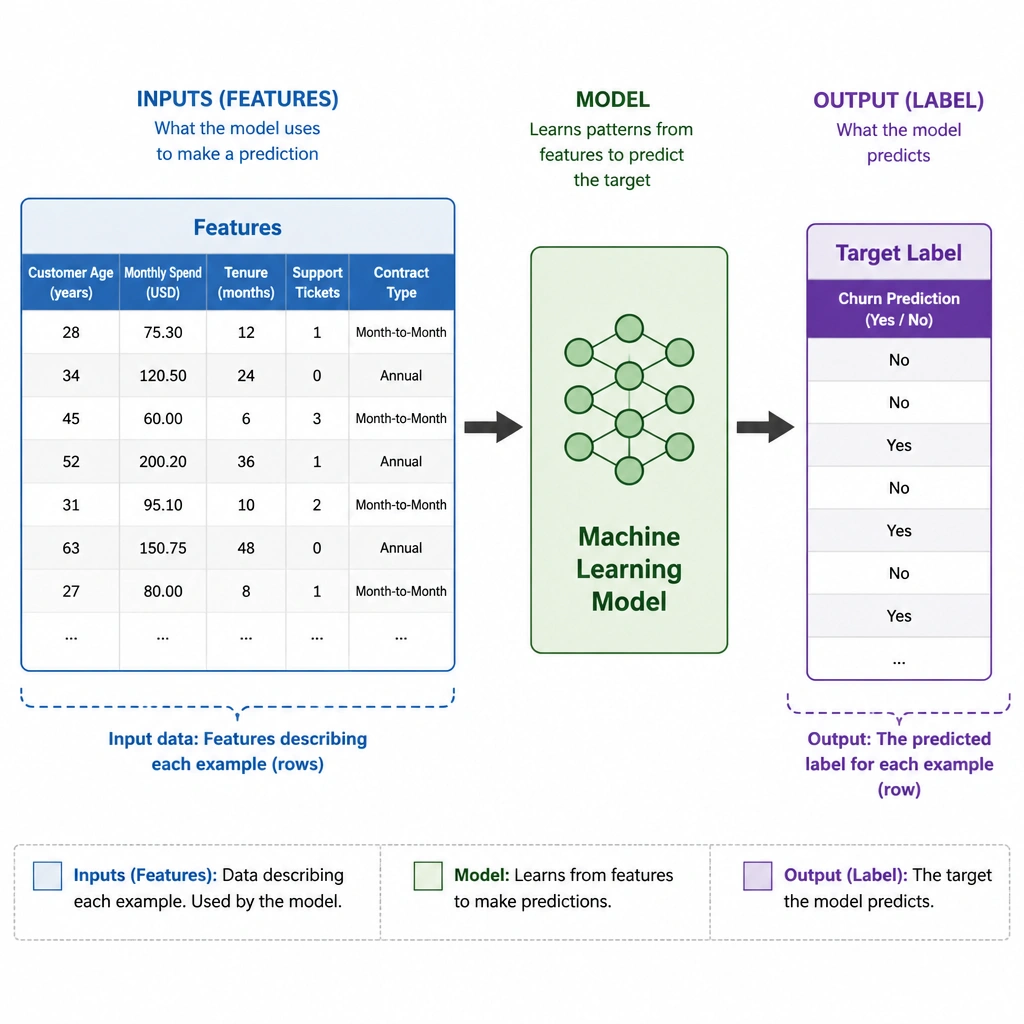 A diagram showing a spreadsheet-style table with columns labeled as 'Features' (e.g., Customer Age, Monthly Spend) leading into a machine learning model block, which then outputs a 'Target Label' (e.g., Churn prediction). The visual should clearly isolate inputs (features) and outputs (labels).