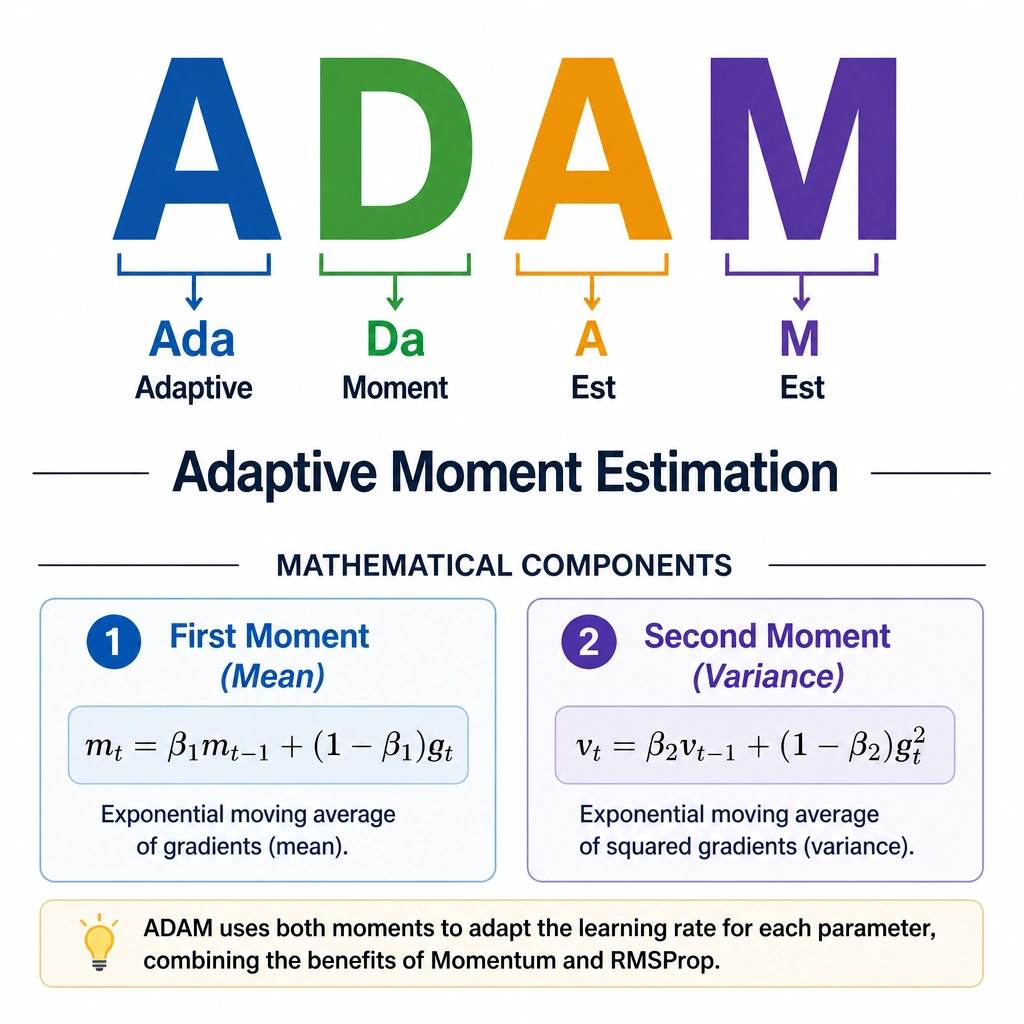 A clear text graphic displaying the word "ADAM" with the letters highlighted (Ada-M-Est) pointing to the full name "Adaptive Moment Estimation", with brief callouts pointing to "First Moment (Mean)" and "Second Moment (Variance)" as its mathematical components.