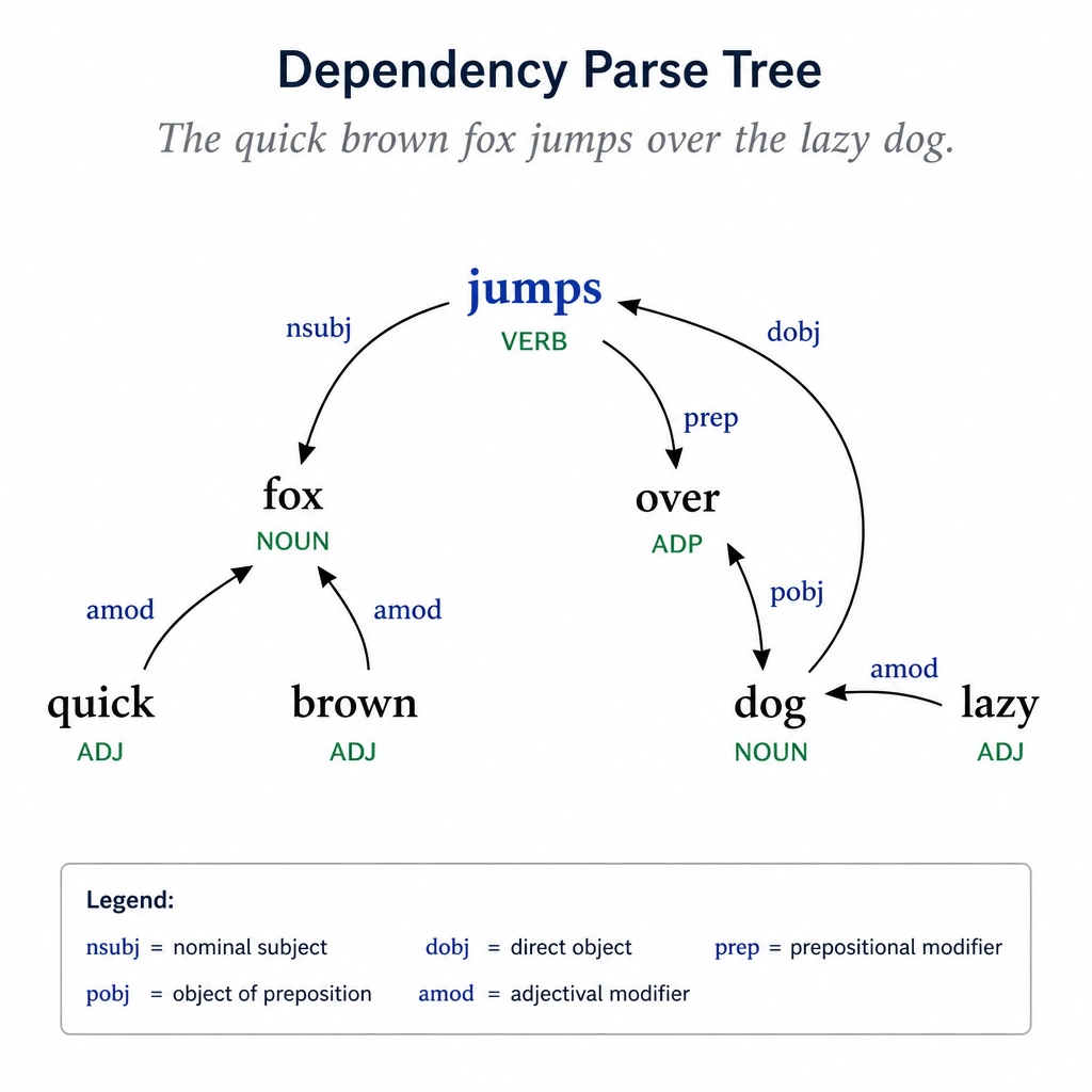 A visual representation of a dependency parse tree for a simple sentence, showing arrows labeled with syntactic dependencies connecting nouns and modifiers to the main verb.